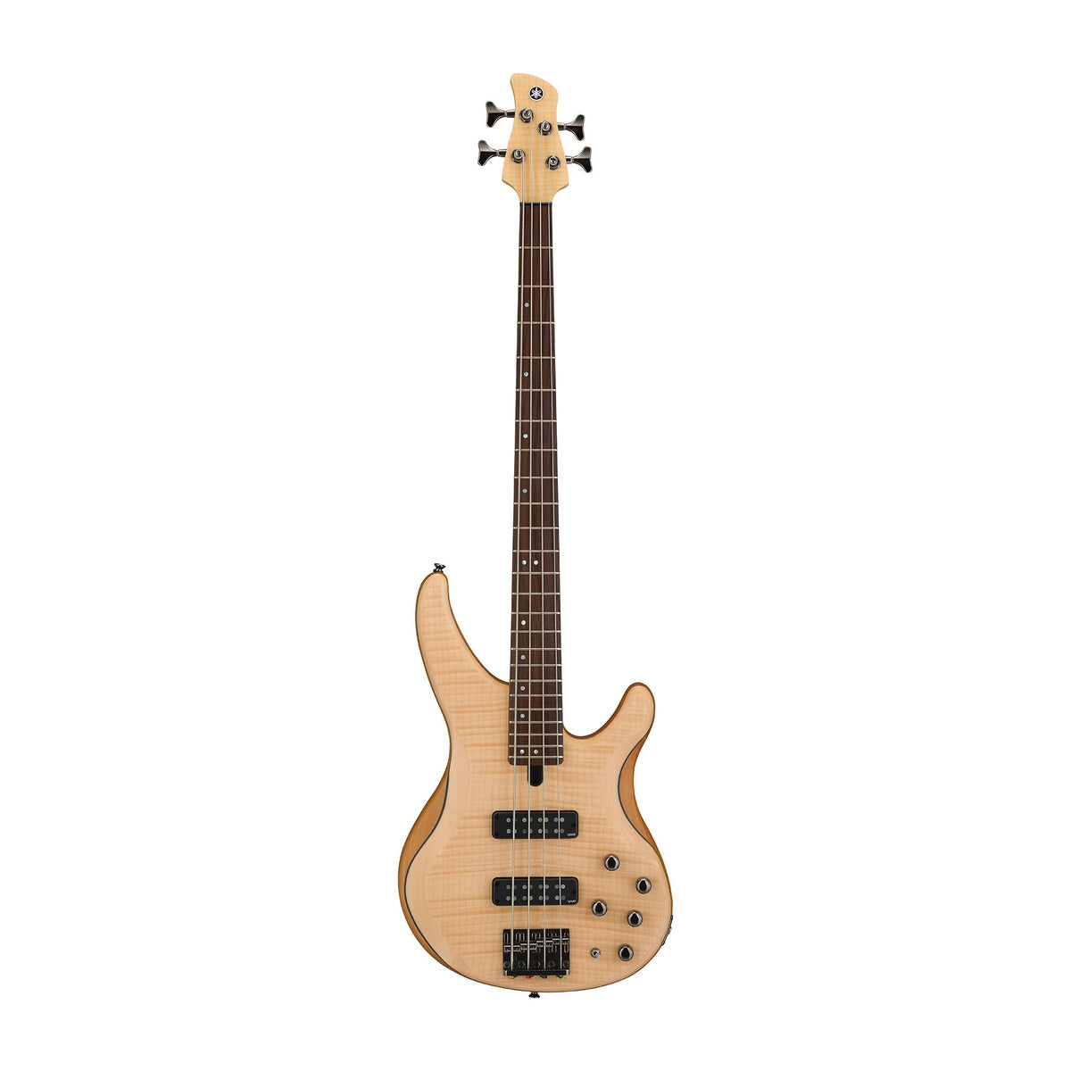 Bass Elektrik
